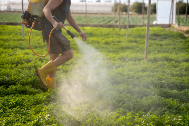 Best Insect Control  in Mill Creek East, WA