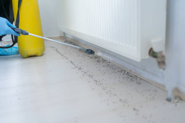 Best Residential Pest Control  in Mill Creek East, WA
