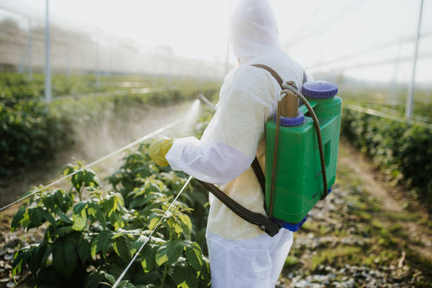 Best Ant Control Services  in Mill Creek East, WA